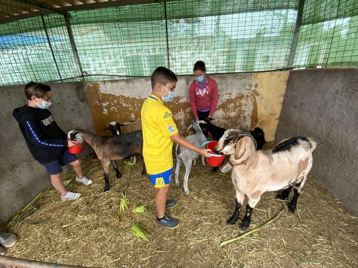 agriculturaniños