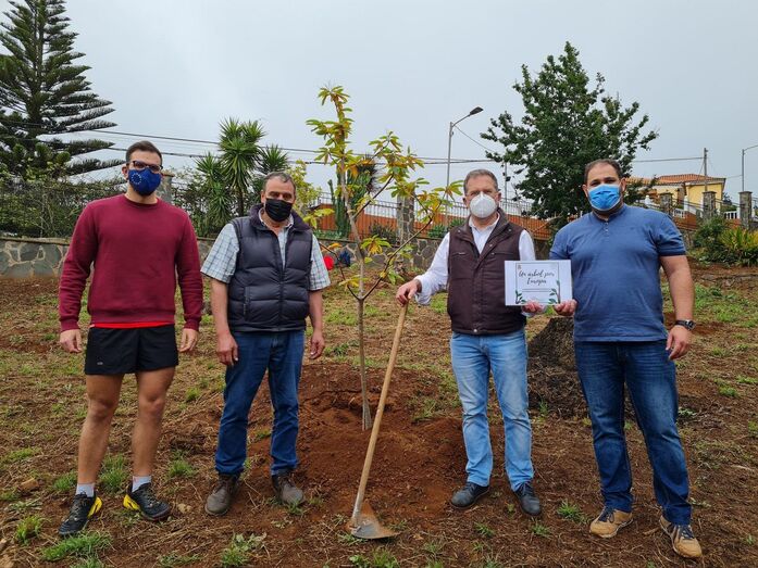 arboleuropeovalleseco