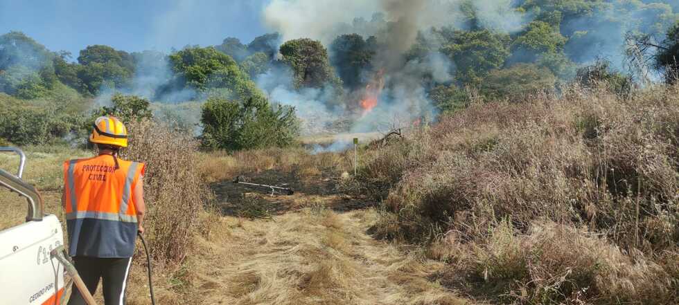 conatodeincendiovallesecojunio2021