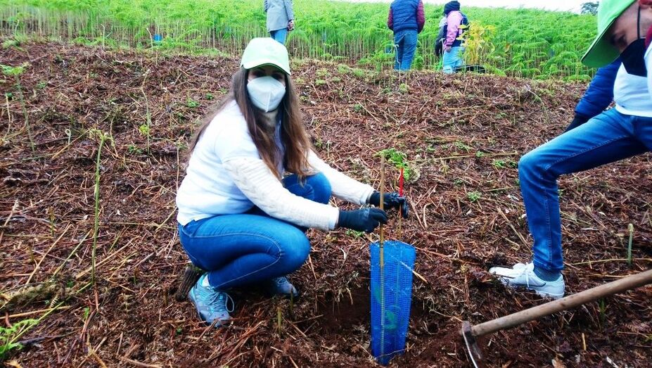 plantacionvalleseco02