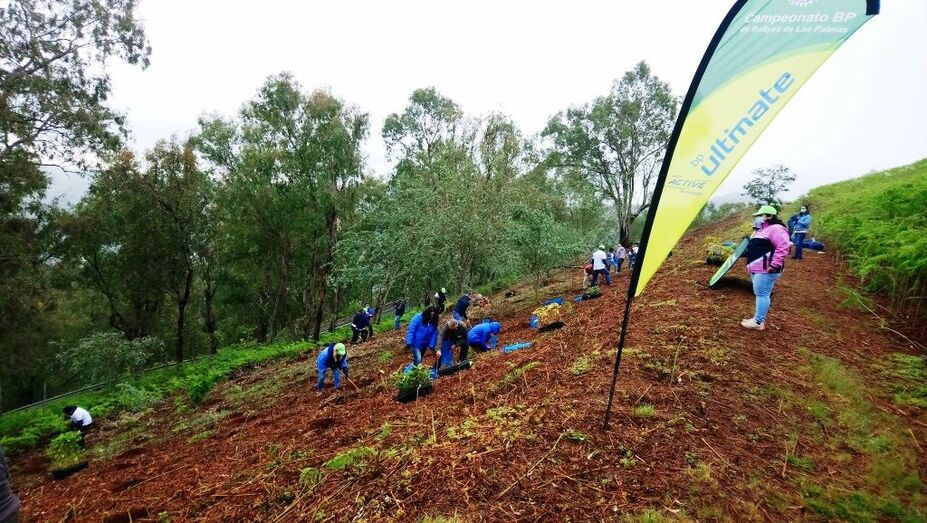 plantacionvalleseco03