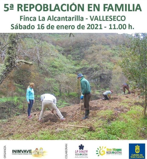 plntacionfamilia