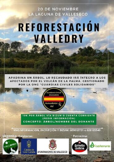 reforestacion
