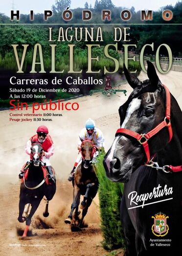 Cartel Carreras de Caballos copia