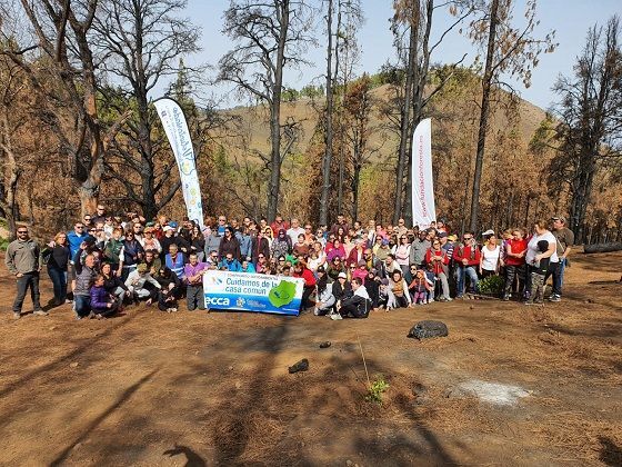 reforestacionvalleseco