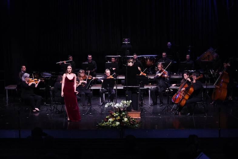 311262239 414915344138882 3432227277883861281 n