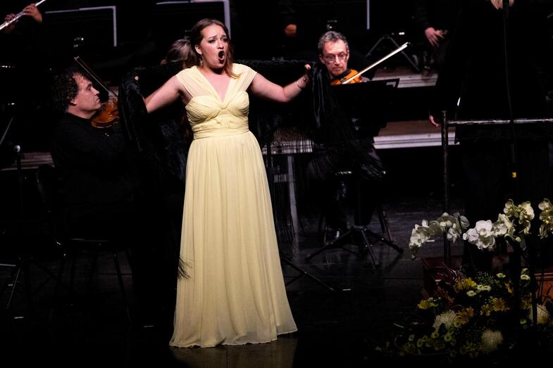 Rosa María Gomariz Actuación