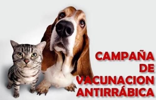 antirraabica
