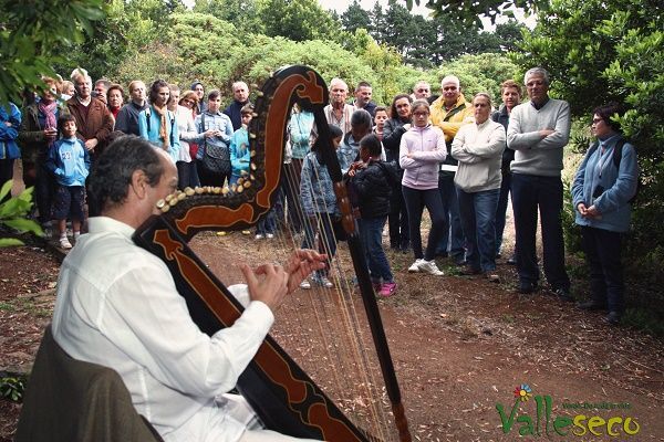conciertolaguna