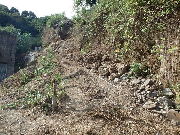 doramaspista