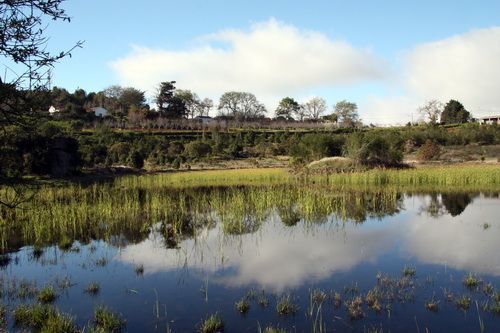 laguna valleseco98
