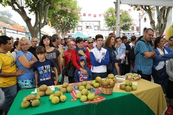 manzanafiesta15