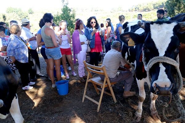 tradiciones