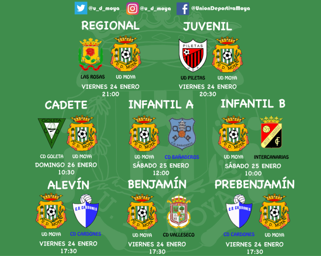 udmoyapartidos24012020