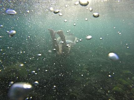 juansaavedra26082015