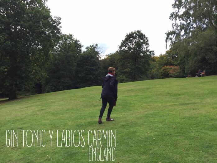 juansaavedraIMG 3789