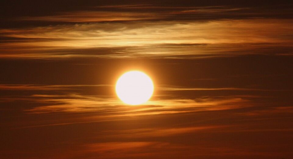 Ha nacido una estrella