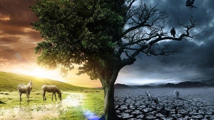 teresaveravida o muerte